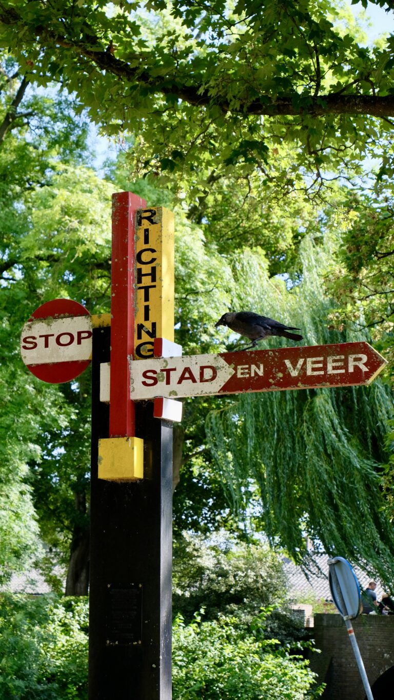 Diet Visser Springerpark
